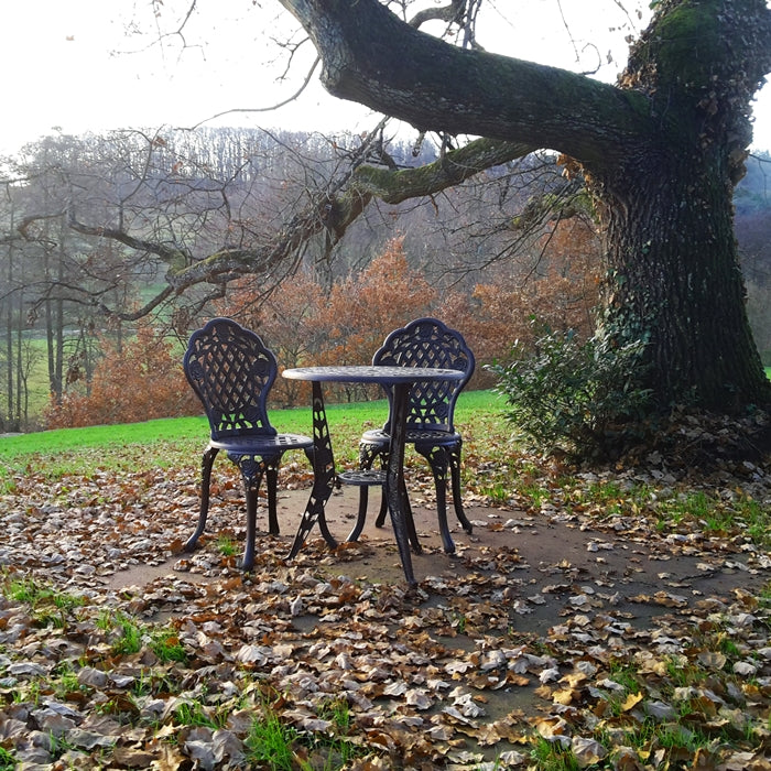 ROSE Bistroset (Tafel en 2 stoelen)