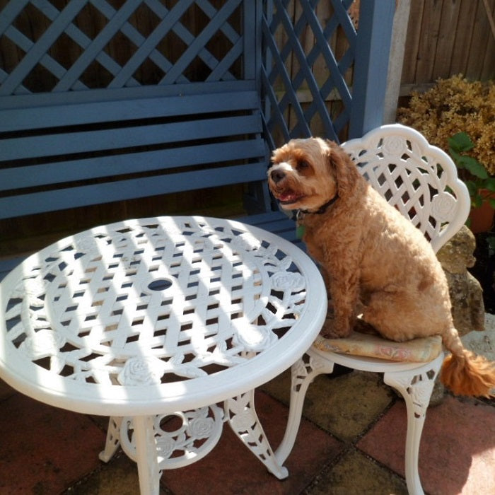 ROSE Bistroset (Tafel en 2 stoelen)